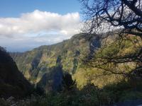 Madeira, Rückfahrt vom Eira do Serrado