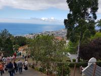 Madeira, Funchal, Blick von Monte