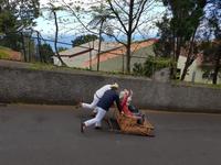 Madeira, Funchal, Korbschlittenfahrt von Monte