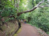 Madeira, Levada da Serra do Faial