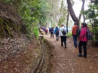 Madeira, Levada da Serra do Faial