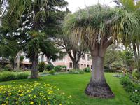 Madeira, Canico, Quinta Splendida, Garten