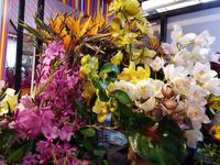 Madeira, Funchal, Markthalle