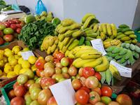 Madeira, Funchal, Markthalle