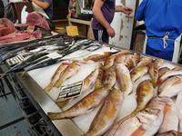 Madeira, Funchal, Fischhalle