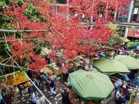 Madeira, Funchal, Markthalle