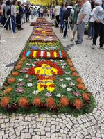 Madeira, Funchal, Blumenteppich