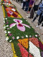 Madeira, Funchal, Blumenteppich