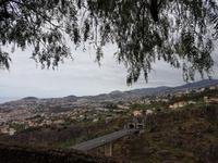 Madeira, Funchal, Blick vom Botanischer Garten unterm falschen Pfefferbaum