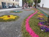 Madeira, Ribeira Brava