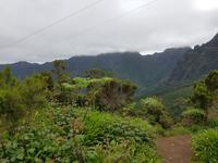 Madeira, am Encumeada Pass