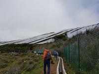 Madeira, Levada do Paul