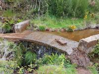 Madeira, Levada do Paul