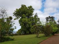 Madeira, Funchal, Palheiro Garden