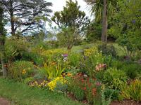 Madeira, Funchal, Palheiro Garden