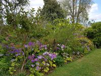 Madeira, Funchal, Palheiro Garden
