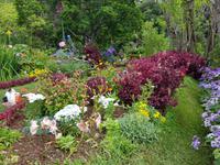 Madeira, Funchal, Palheiro Garden