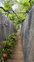 Madeira, Funchal, Quinta Boa Vista