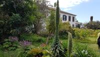 Madeira, Funchal, Quinta Boa Vista, Natternkopf