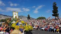 Madeira, Funchal, Blumenfest