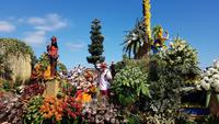 Madeira, Funchal, Blumenfest