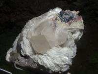 Tropical Garden in Monte - Mineraliensammlung