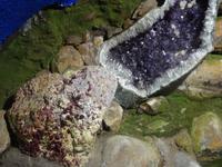 Tropical Garden in Monte - Mineraliensammlung