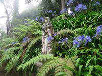 Tropical Garden in Monte 