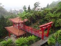 Tropical Garden in Monte 