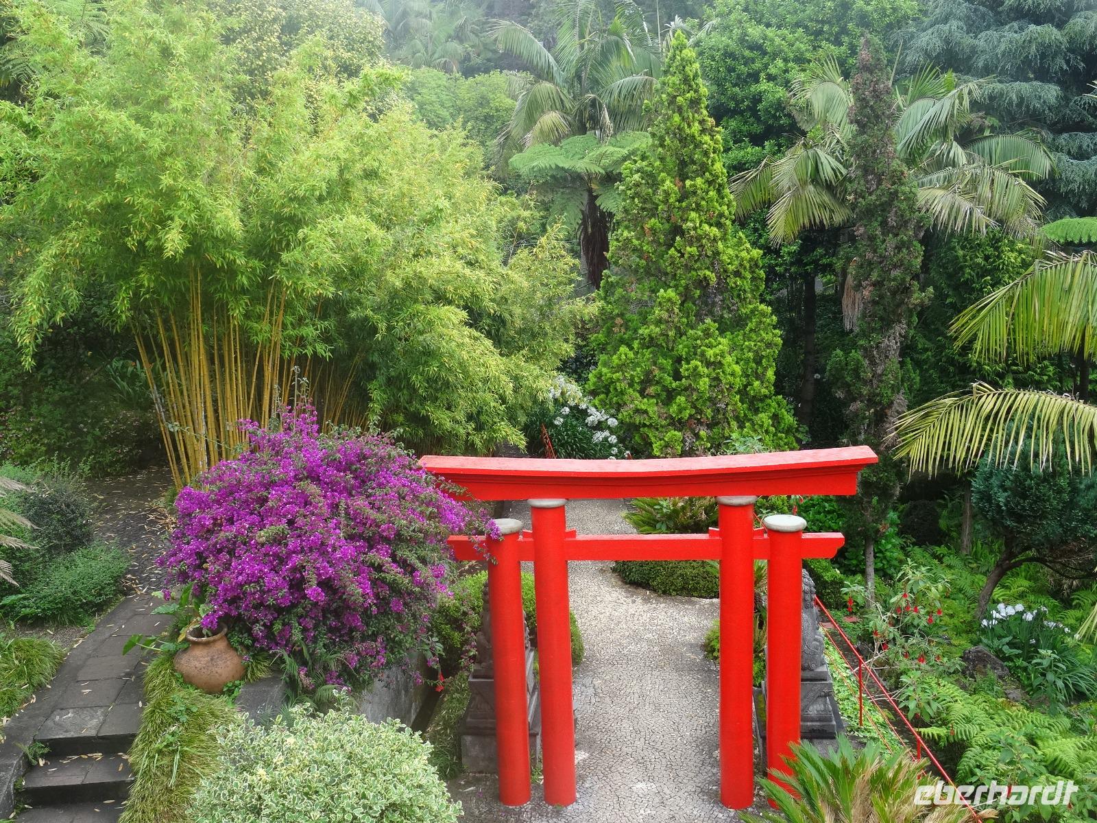 Tropical Garden in Monte 