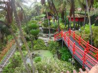 Tropical Garden in Monte 