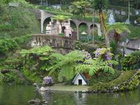 Tropical Garden in Monte 