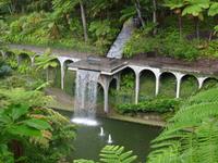 Tropical Garden in Monte 