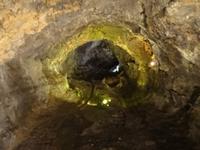 Sa Vicente - in den Lava-Grotten
