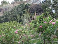 Entlang der Strandpromenade 