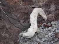 Entlang der Strandpromenade 