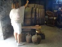 Faja dos Padres - Verkostung von Madeira Wein