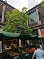 Funchal Markthalle