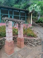 IMG_20200911_121538_1