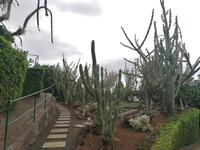 IMG_20200911_133406_1