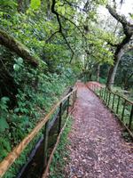 IMG_20200912_151517_1