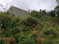 IMG_20200912_155416_1