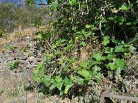 IMG_20200913_102635_1