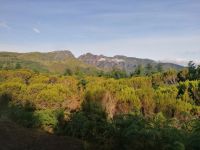Fahrt zum Pico do Arieiro