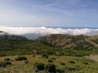 Fahrt zum Pico do Arieiro