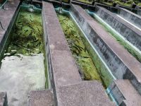 Forellenzucht in Ribeiro Frio