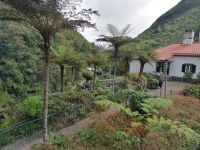 Forellenzucht in Ribeiro Frio