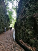 Wanderung zum Aussichtspunkt Balcoes in Ribeiro Frio