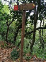 Wanderung zum Aussichtspunkt Balcoes in Ribeiro Frio