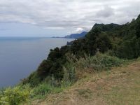 Weinfest Quinta do Furao in Santana